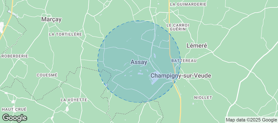 Discover Assay Airbnb Analytics